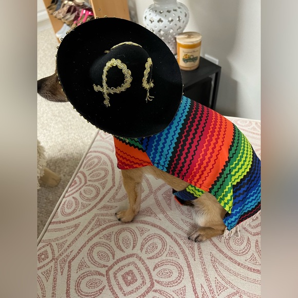 Halloween Costume with matching Sombrero. - Picture 5 of 13
